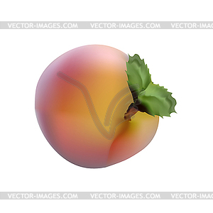 Photorealistic images of red fruit ripe peach - royalty-free vector clipart