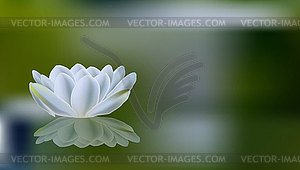 Romantic summer background with white lilies - vector clipart