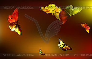 Set Monarch Butterfly with open wings - vector clipart / vector image