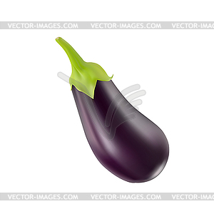 Eggplant - vector image