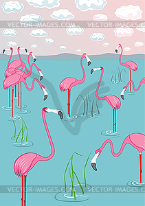 Розовые фламинго на берегу залива. Векторная иллюстрация - изображение в векторе / векторный клипарт