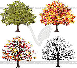 Различные сезоны искусство дерево - графика в векторе