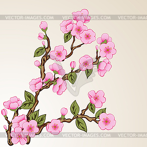Floral background with sakura - vector image