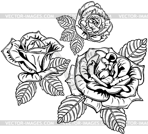 Rose Flowers with Leaves - vector clipart
