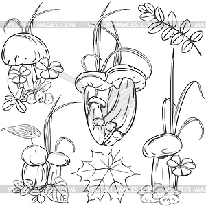 Set with edible mushrooms - vector image
