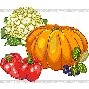 Bright Ripen Vegetables - vector image