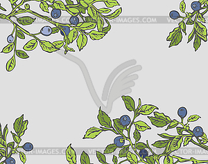 Blueberry Bushes - vector image