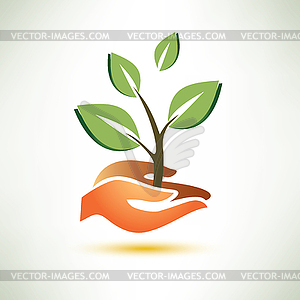 Palm and plant symbol, ecology concept - vector image