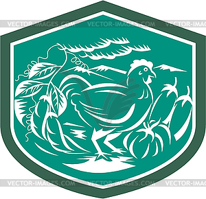 Hen Chicken Bean Eggplant Squash Shield Retro - vector image