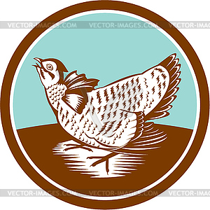 Prairie Chicken Retro Circle - vector clipart