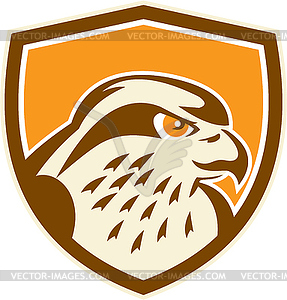 Peregrine Falcon Head Shield Retro - vector image