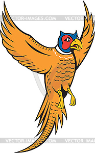 Pheasant Bird Fowl Flying Cartoon - vector clipart