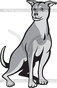 Husky Shar Pei Cross Dog Sitting Cartoon - vector clipart / vector image