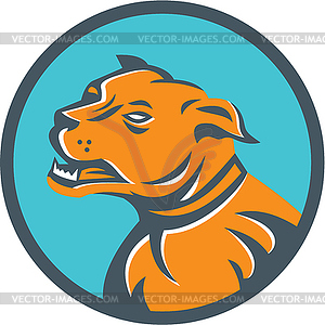 Angry Mastiff Dog Mongrel Head Circle - vector clipart