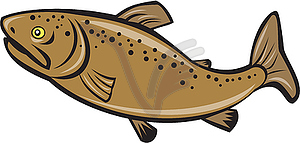 Brown Trout Fish Side Cartoon - vector image