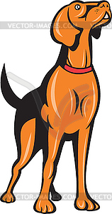 Cocker Spaniel Golden Retriever Dog Cartoon - vector image