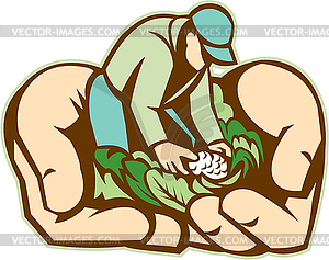 Hands Holding Organic Farmer Produce Retro - vector image
