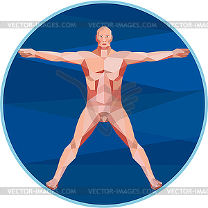 Da Vinci Man Anatomy Low Polygon - vector image