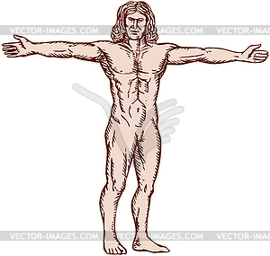 Витрувианский человек раскинув руки спереди травление - изображение в векторном формате