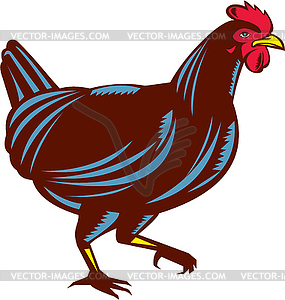 Chicken Hen Walking Side Woodcut - vector image