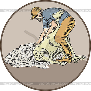 Farmworker Shearing Sheep Circle Etching - vector clipart / vector image