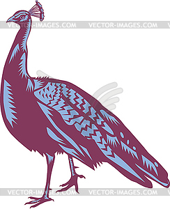 Male Indian Peacock Woodcut - vector image