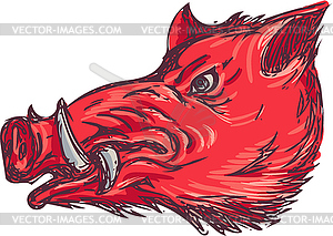 Wild Boar Razorback Head Side Drawing - vector clip art