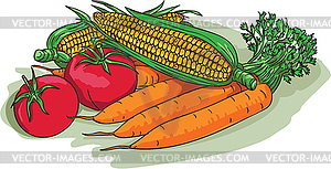 Vegetable Garden Crop Harvest Drawing - vector image