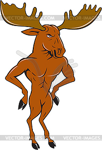 Moose Standing Hands Akimbo Cartoon - vector clip art