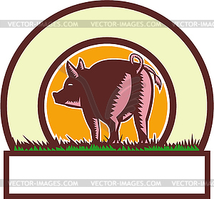 Pig Tail Rear Circle Woodcut - royalty-free vector image