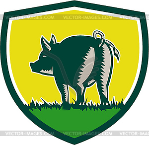 Pig Tail Rear Crest Woodcut - vector clip art