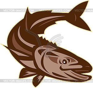 Cobia Fish Diving Down Retro - stock vector clipart