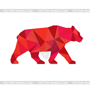American Black Bear Walking Low Polygon - vector image
