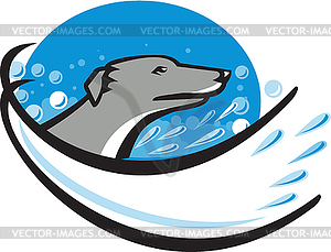 Greyhound Dog Head Water Bubble Oval Retro - vector clipart / vector image