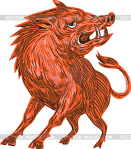 Angry Razorback Ready To Attack Drawing - vector clipart
