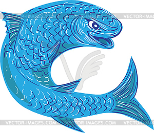Grey Mullet Jumping Drawing - vector clip art