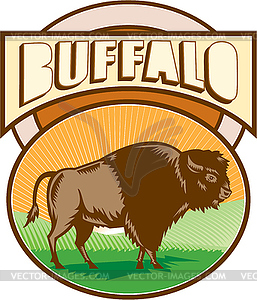 American Bison Buffalo Oval Woodcut - vector clipart