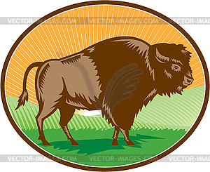 American Bison Oval Woodcut - vector image