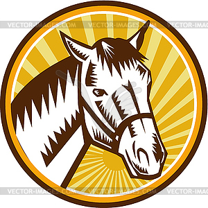 White Horse Head Sunburst Circle Woodcut - vector EPS clipart