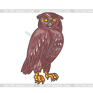 Owl Observing Looking Drawing - vector image