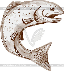 Rainbow Trout Jumping Watercolor - vector clipart