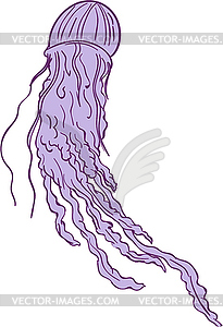 Australian Box Jellyfish Drawing - vector image