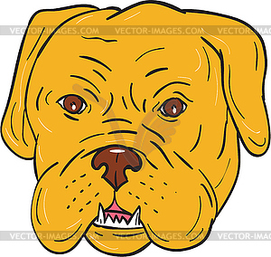 Bordeaux Dog Head Cartoon - vector clipart