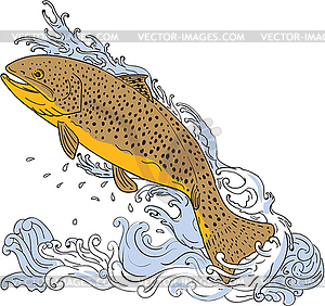 Brown Trout Swimming Up Turbulent Water Drawing - vector image