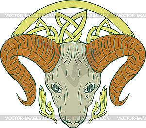 Ram Head Celtic Knot - vector image