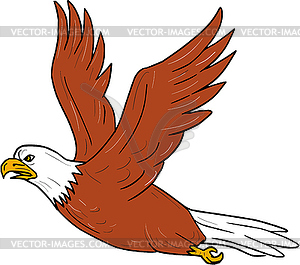 Angry Eagle Flying Cartoon - vector clip art