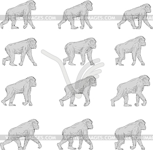 Комплект для набора пешеходов Chimpanzee - изображение векторного клипарта
