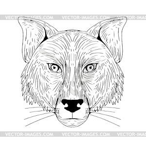 Fox Head Front Drawing - vector image