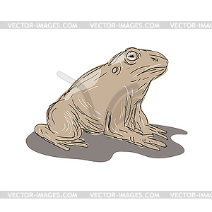 Toad Frog Sitting Side Drawing - vector clip art