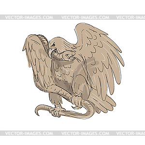 Serpent in Clutches of Eagle Drawing - vector image